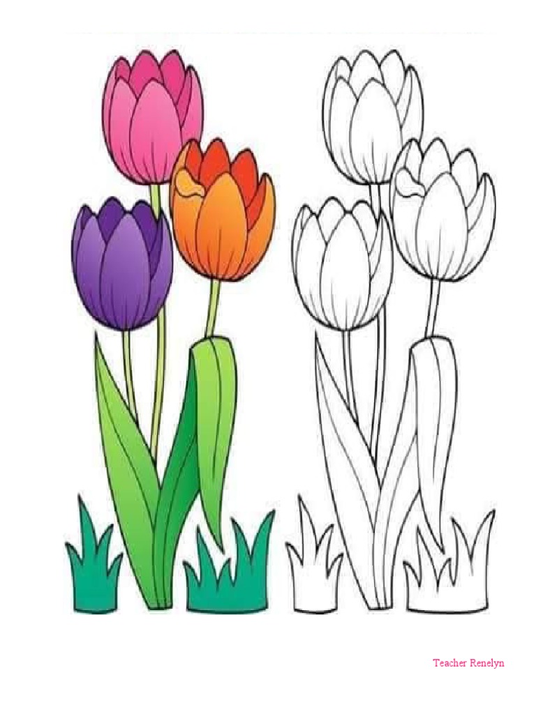 Coloring For Kids | PDF