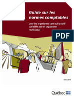 Guide Normes Comptables