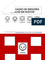 PT Material TEACCH Identificamos e Associamos Emoções