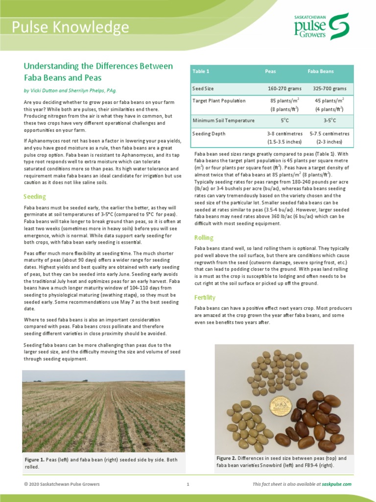 Faba Bean Vs Pea PDF
