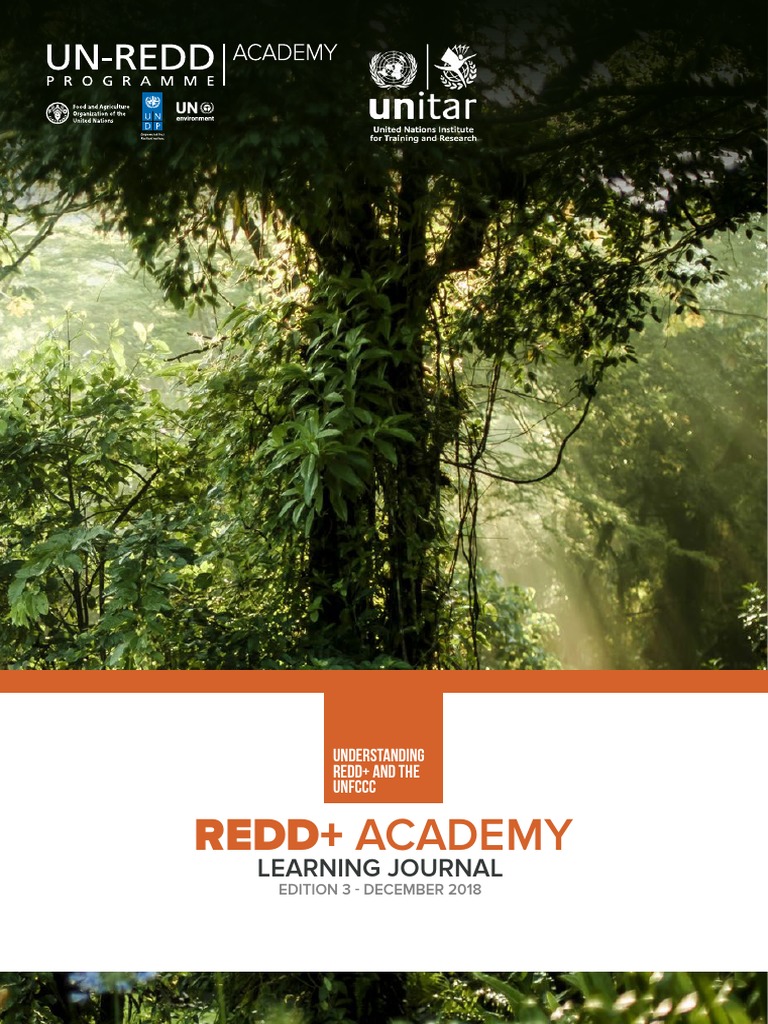 Phase Ii Topic 2 Understanding Redd And The Unfccc Pdf Reducing
