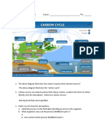 3 The Carbon Cycle Worksheet