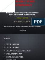 Introduction To Pathology Cmu 605 (Pathology Cmu 605) 2021 Enugu (Autosaved)