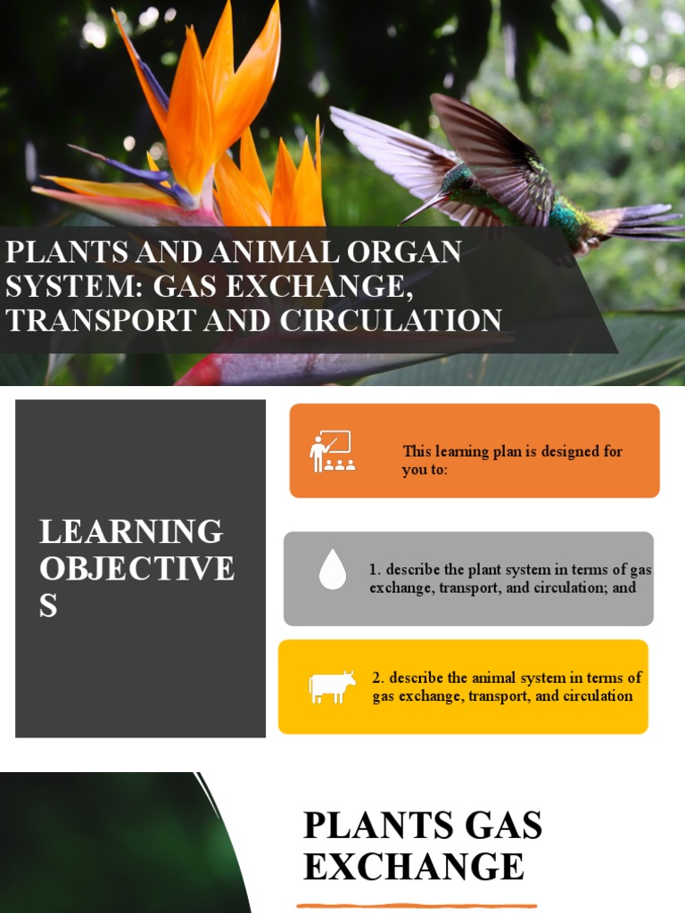 Q4 Lesson 3 Plants and Animal Organ System PDF Heart Lung