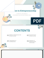 Demo Entrepreneurship