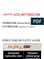Fatty Acid Metabolism