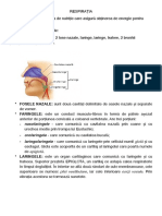 Sistem Respirator