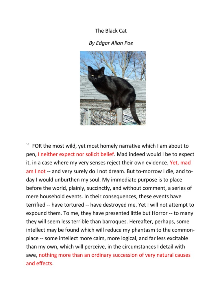 The Black Cat | PDF
