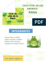 Presentación Ciencias - Ranas