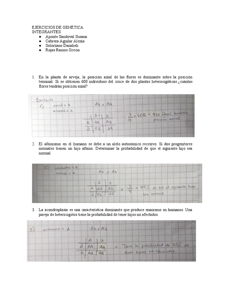 Ejercicios De Genética Pdf Dominancia Genética Alelo