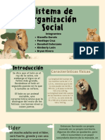 Sistema de Organización Social