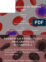 Neves Prando Maria Eduarda - PPT Biologia N°2 2023