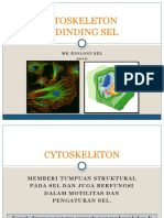 Sitoskeleton & Dinding Sel