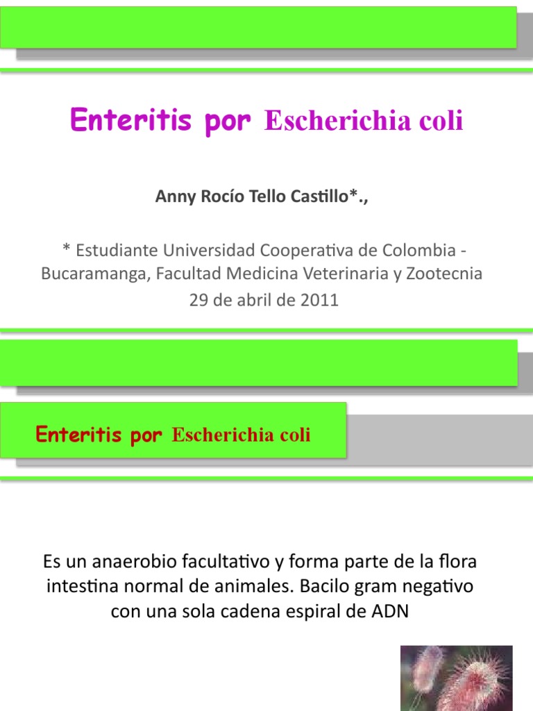 Enteritis por E. coli: Causas y Síntomas | PDF | Escherichia coli | Diarrea