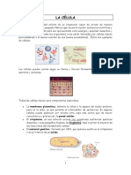 La Célula - Teoría y Ejercicios