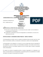 INFORME 1 BQll-BIOSEGURIDAD