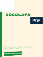 Proyecto Final Xocolapa - Iván Fonseca Cano