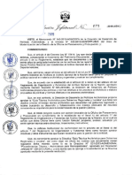 Directiva n003-2019 (Guia Gobiernos Regionales y Locales)