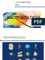 Introduccion Microbiologia Bacterias 2020