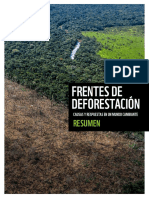 Frentes de Deforestacion WWF 2021 Resumen