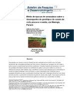 Efeito de Epoca de Semeadura de Canola - PR