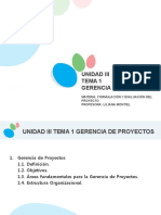 Gerencia de Proyectos