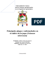Principales Plagas y Enfermedades en El Cultivo de La Papa (Solanum Tuberosum)
