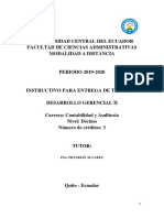 Instructivo - Desarrollo Gerencial II - 2019 - 2020