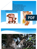 Monyet Dan Pisang