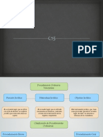 Esquema Proceso Orinario