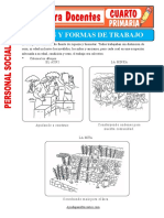 Division y Formas de Trabajo para Cuarto de Primaria