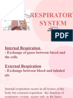 Respiratorysystemjava Reem