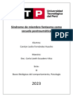 Síndrome de Miembro Fantasma Como Secuela Postraumática. BASES