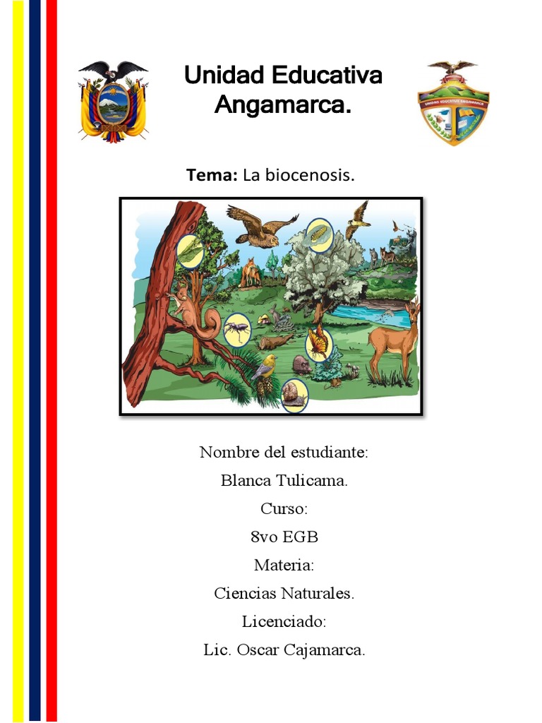Unidad educativa angamarca pdf ecolog a ecosistema