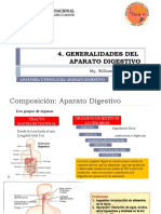 4 GENERALIDADES APARATO DIGESTIVO