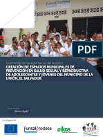 Sistematizacion - Experiencias - Salud Sexual Reproductiva La Union Funsalprodese