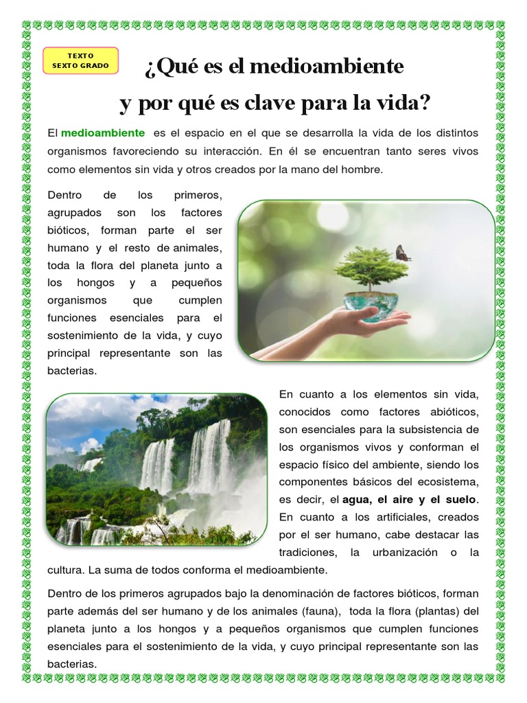 Texto - Sexto Grado - Ciencia y Tecnología | PDF
