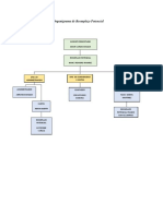 Organigrama de Reemplazo Potencial