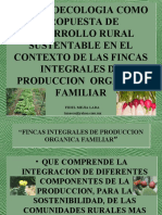 Finca Org. 1