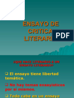 Ensayo Literario