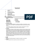 Informe de Contingencia