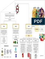 Mapa Conceptual Biomoleculas