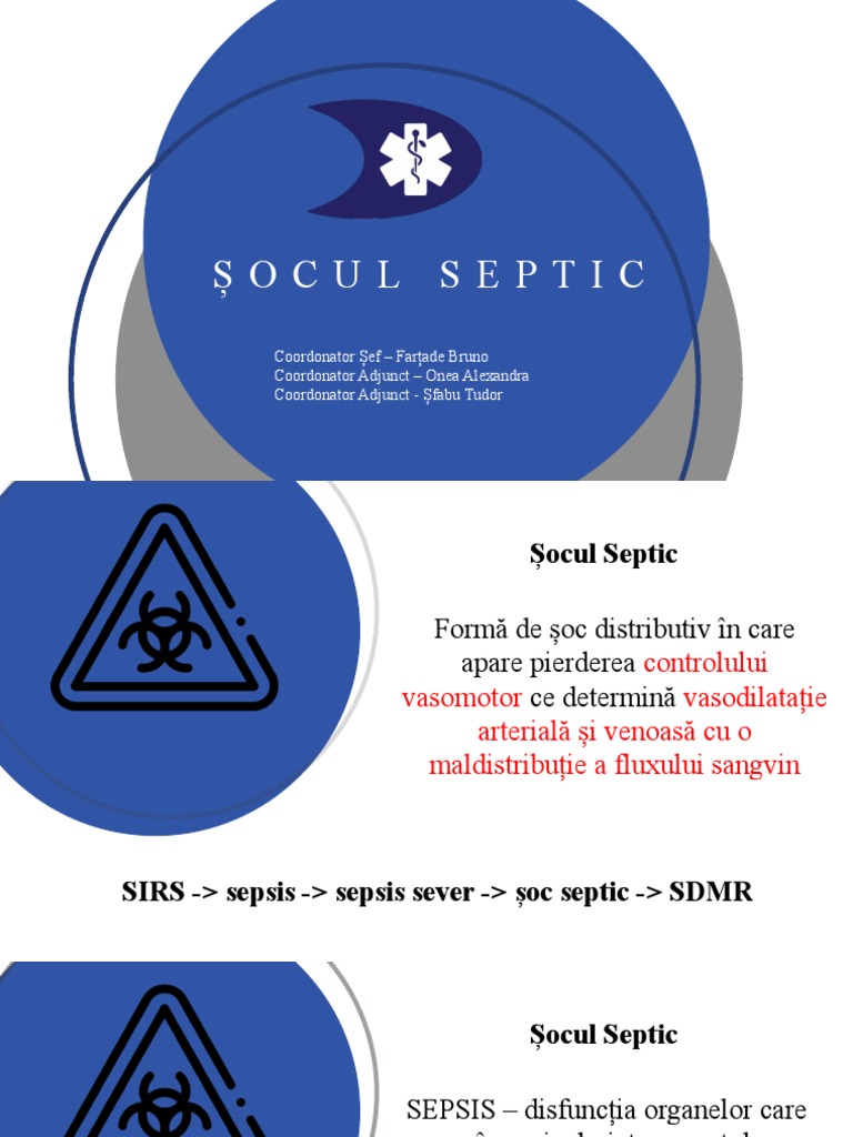 Socul Septic | PDF