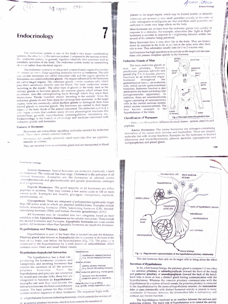 Scripthookv V1.0.3258.0