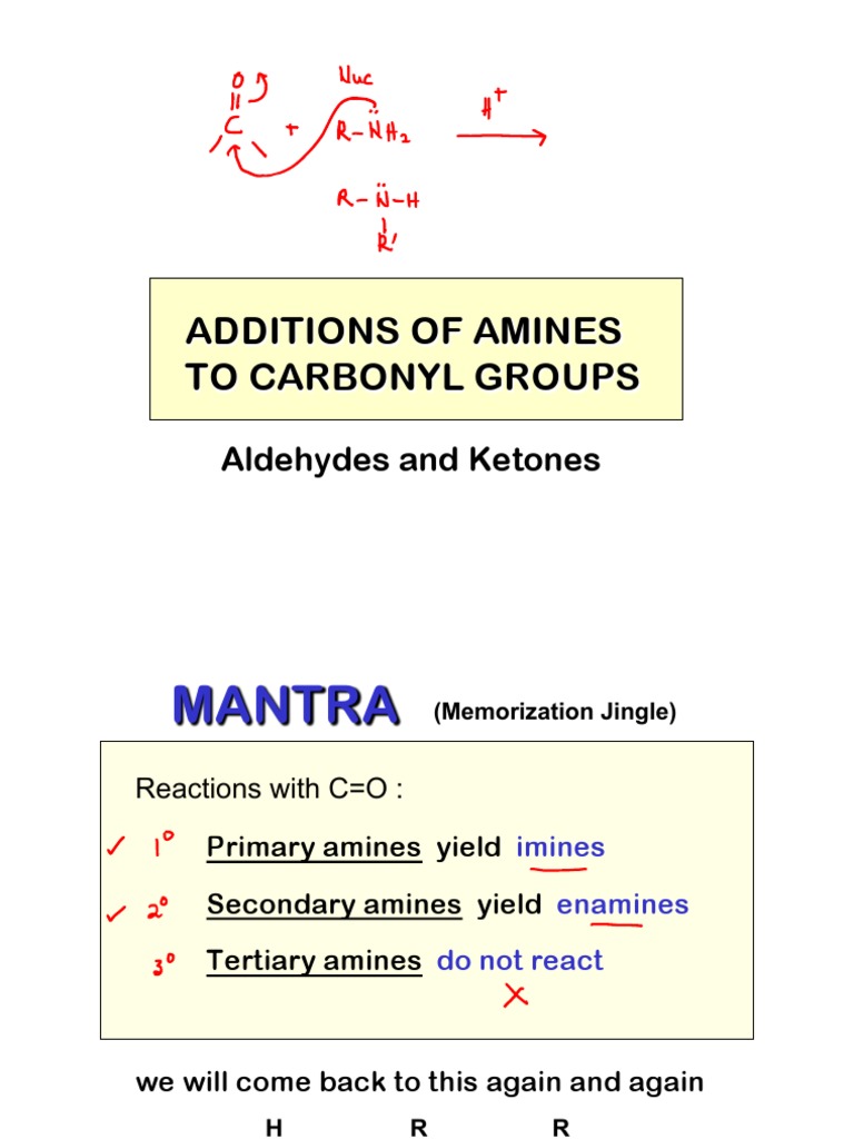 Imine Enamine PDF Amine Aldehyde