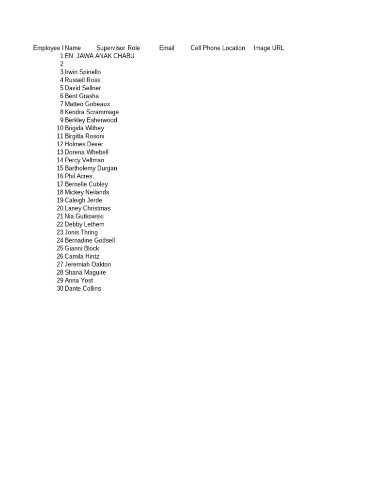 Org Chart Example | PDF