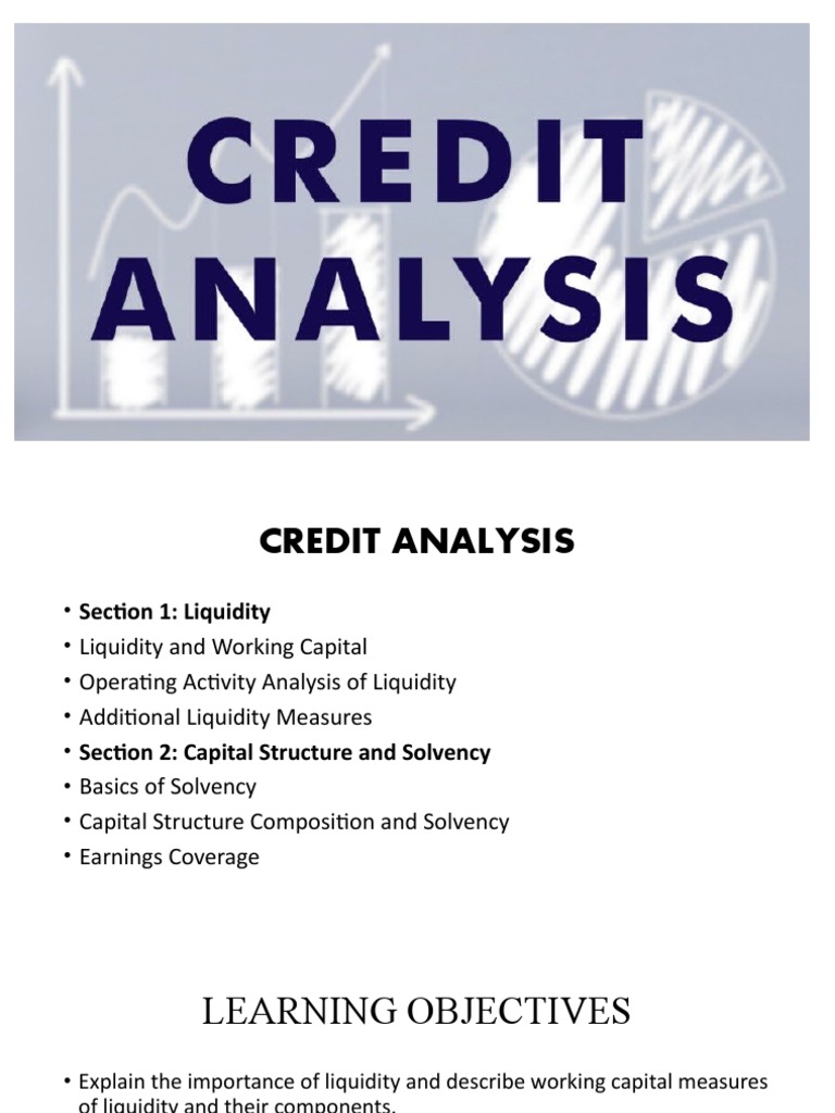 Liquidity and Capital Structure Analysis | PDF | Working Capital ...