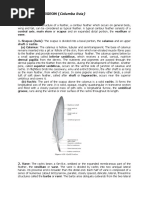 Types of Bird Feathers Explained | PDF | Feather | Ornithology