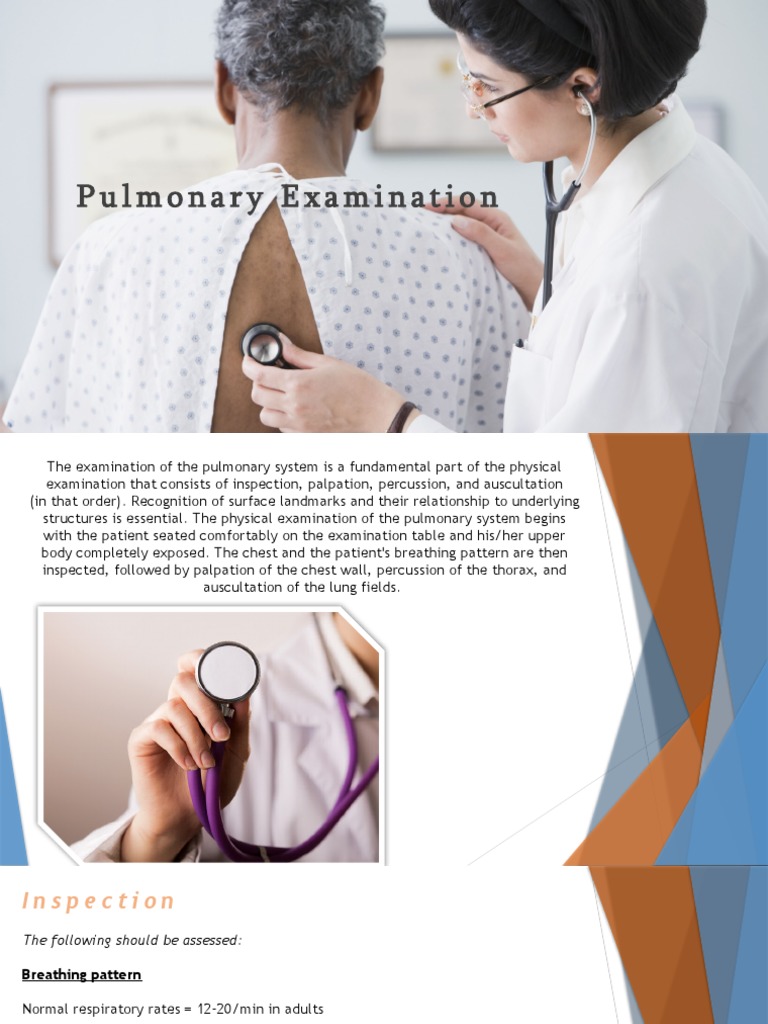 Lung Examination | PDF | Lung | Thorax