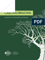 Tree Bracing Standards